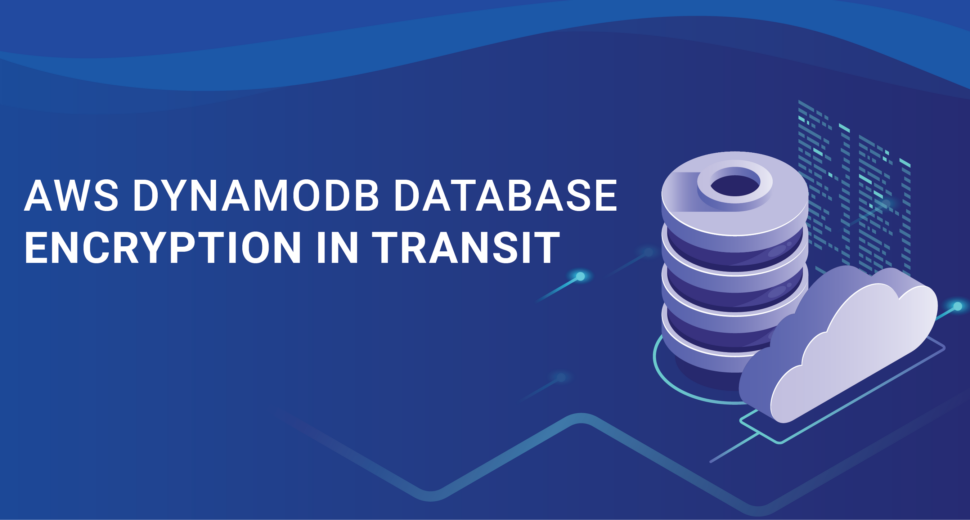 aws-dynamodb-database-encryption-in-transit